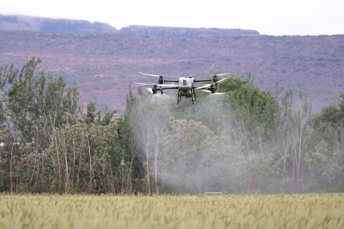 Fotografia ilustrativa de um drone agrícola em operação